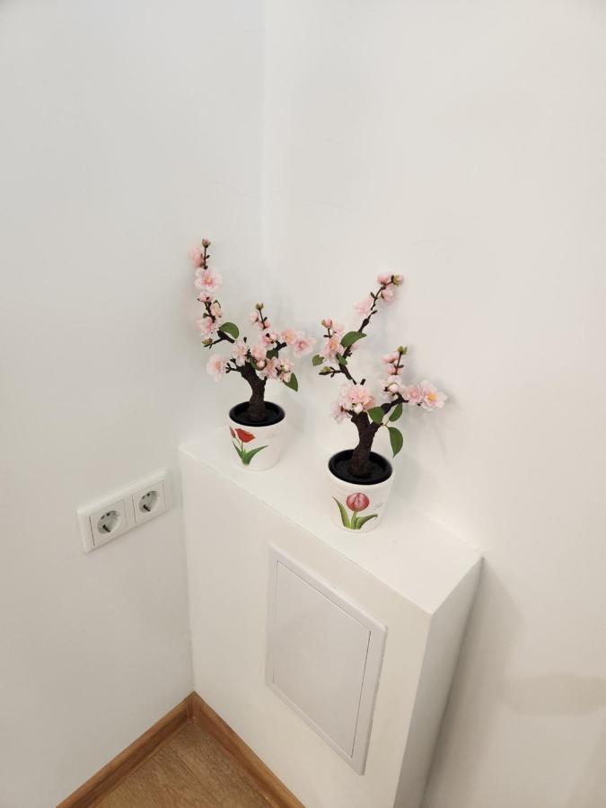 Apartman Zagreb Cca 42M2 With Free Parking Bagian luar foto