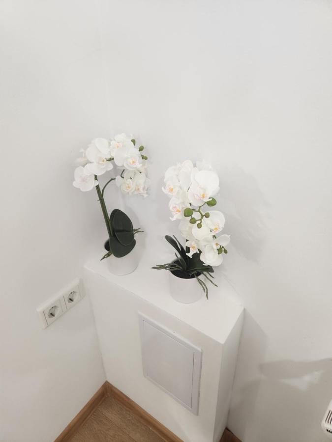 Apartman Zagreb Cca 42M2 With Free Parking Bagian luar foto